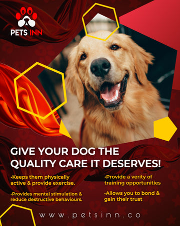 GIVE YOUR DOG THE QUALITY CARE IT DESERVES