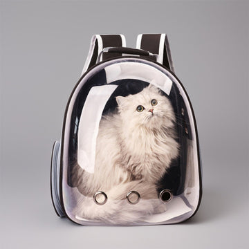 Cat Shoulder Bag  With Kennal Pet Carrier