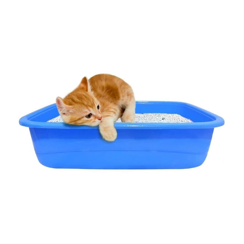 Imported Litter Tray for Kitten
