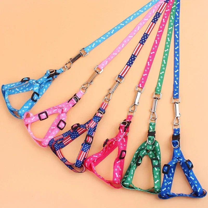Cat Leash & Harness