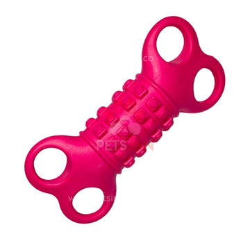 Four Hole Bone Teather Toy