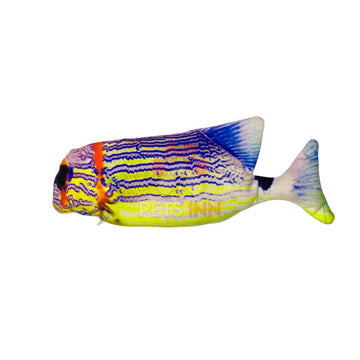 Vibrating Fish Toy For Cats