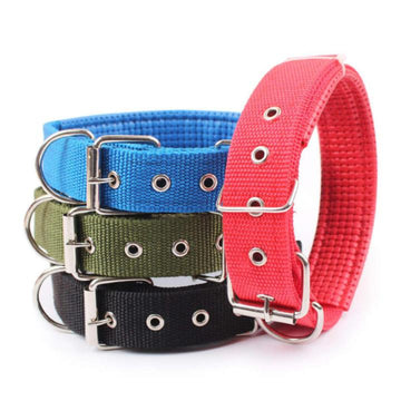 Nylon Collar for Dog
