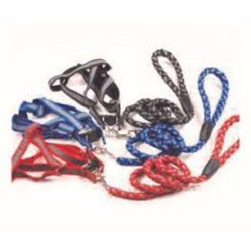 Leash & Harness for Dogs