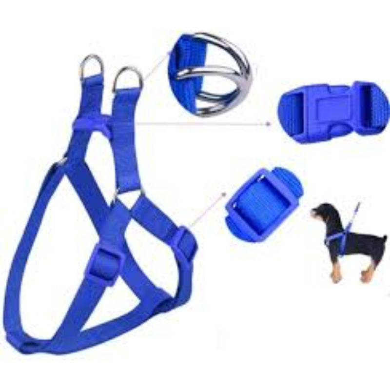 Leash & Harness High Quality for Dogs
